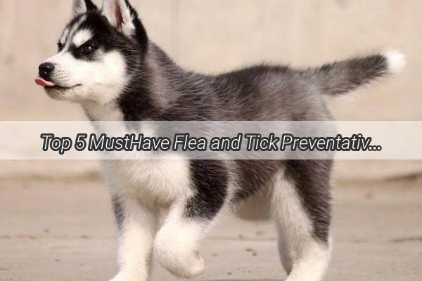 Top 5 MustHave Flea and Tick Preventatives for Your Furry Friend Keep Your Pooch ParasiteFree